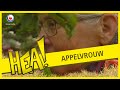 HEA! Lies de appelvrouw