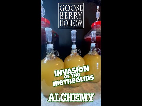 Metheglin Madness! 2 Types! 3 Carboys!
