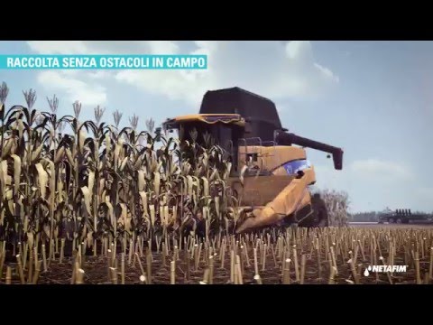 L'irrigazione a goccia del mais in Italia – Soluzioni e vantaggi