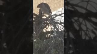 Cartel de Santa - Asesino de Asesinos