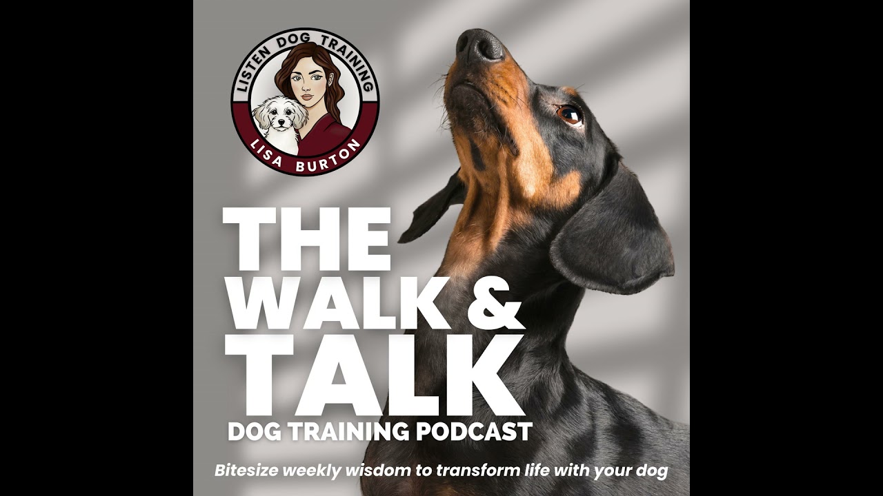 5 Foundational Skills That Make or Break Reactivity Training