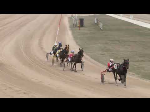 2018.03.24 2.futam Kincsem Park