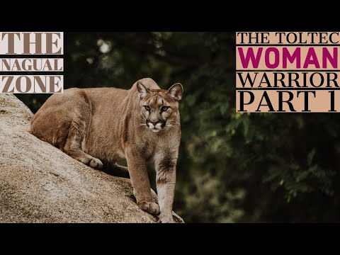 The Toltec Woman Warrior Part 1 - The Nagual Zone| Carlos Castaneda| Don Juan Matus