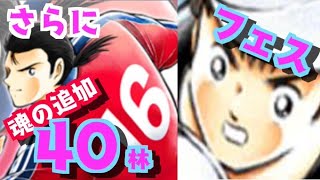 さらに追加フェス４０連！！ラスト林！！【たたかえドリームチーム実況♯１８８】
