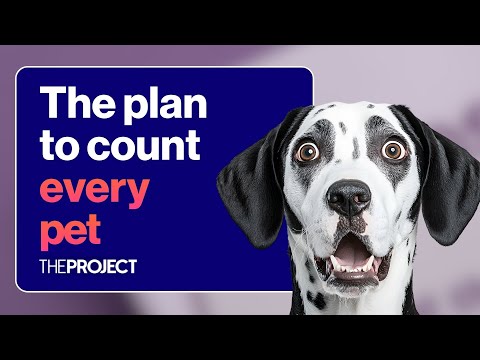 Why Every Aussie Pet Could Be Counted One By One - YouTube