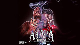 Video Ayapa de South Park Mexican - SPM
