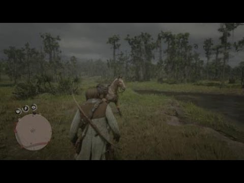 Red Dead Redemption 2 Kopflos 3