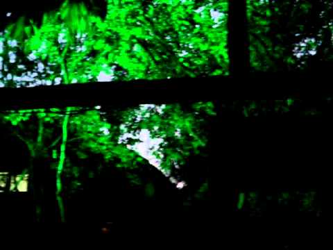 Roberto Otto & Murilo Rodrigues @ Warung Beach Club / Garden