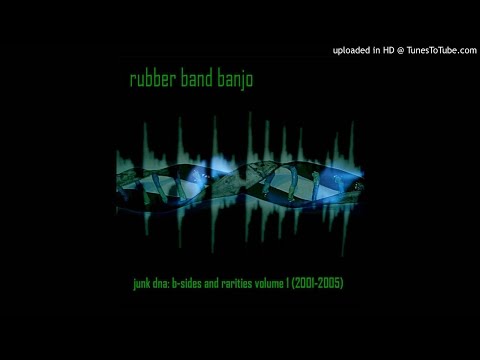 Rubber Band banjo - sitar crunch