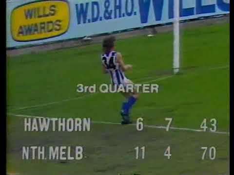 ABC 1975 VFL Grand Final - 3rd and 4th quarter partial.