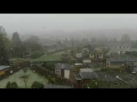 Winter am  2017 04 18 in Neukirchen/Pleiße