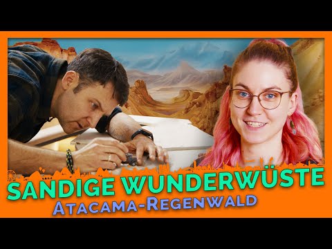 ANDES CRASH: It's not just the desert that's dangerous! | Atacama Update #21 | Miniatur Wunderland
