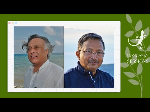 Jairam Ramesh: India cannot phase out fossil fuels but can phase them down