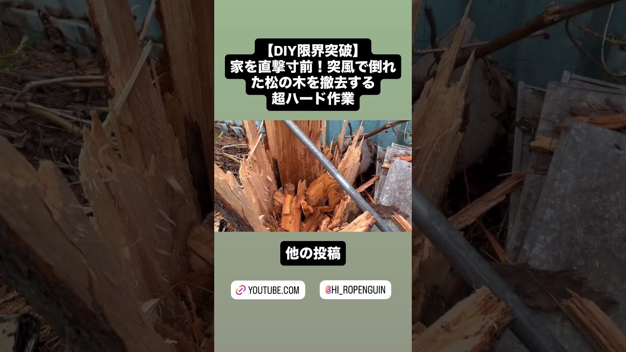 【DIY限界突破】　家を直撃寸前！突風で倒れた松の木を撤去する超ハード作業
