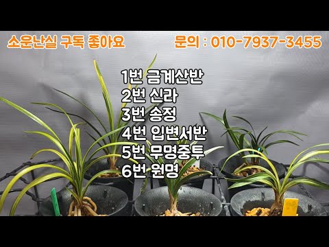 유튜브 썸네일