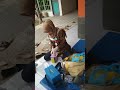 Posyandu 2