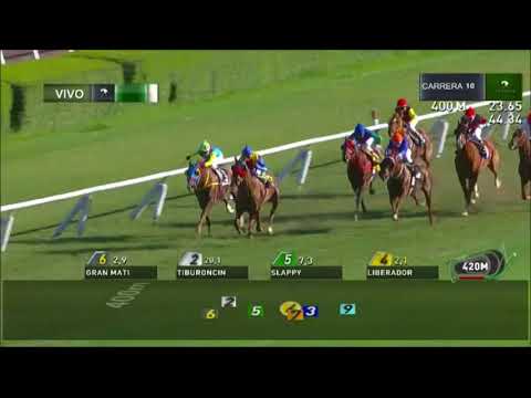 Carrera N° 10, Fecha reunión:24-11-2017 Club Hípico de Santiago