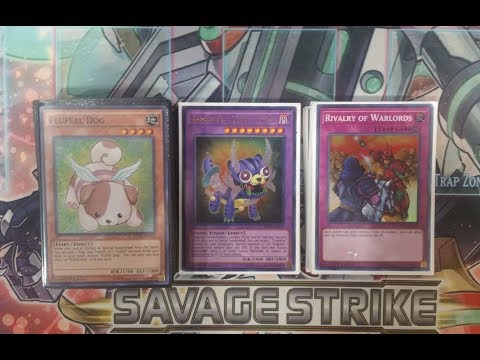 Fluffal 1st Place Locals Deck Profile Yugioh Undefeated