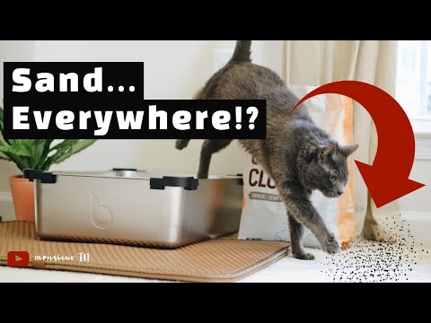 Minimize Cat Litter Tracking (Don't Use This Litter)!