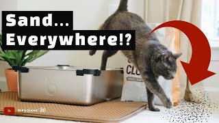 Minimize Cat Litter Tracking (Don