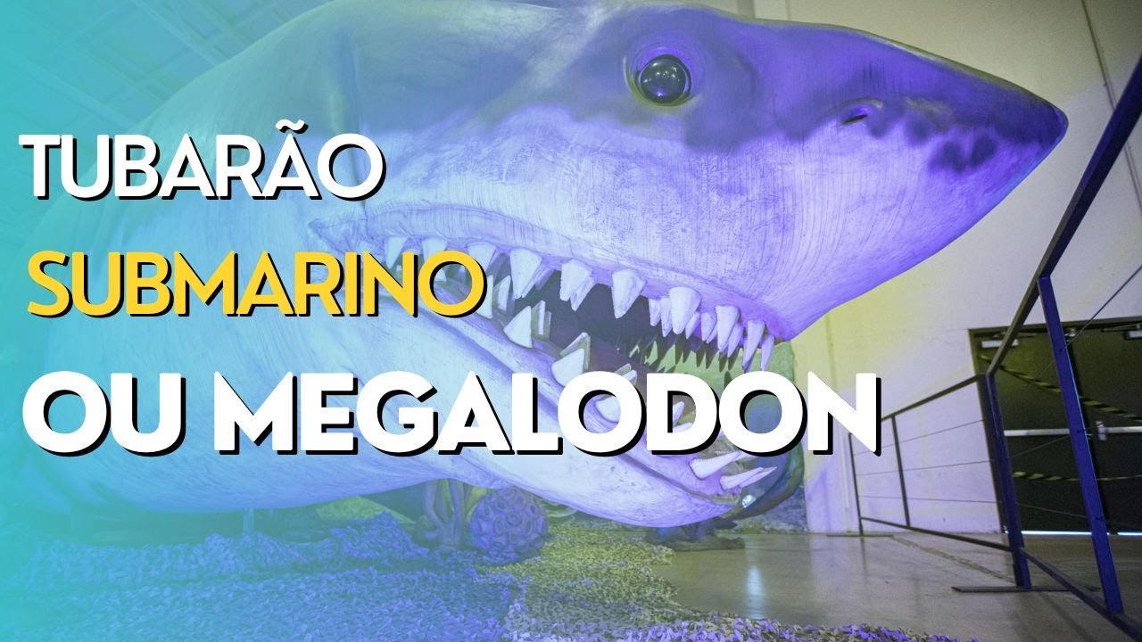 TUBARÃO SUBMARINO FILMADO ! ELE EXISTE
