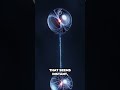 Fastest Things In The Universe Part 2 Cosmoknowledge Space Universe Education Science