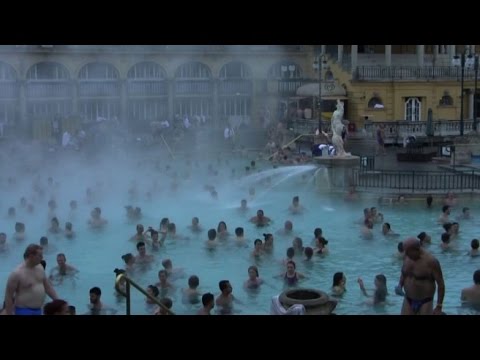 Il valore della protesi dellarticolazione dellanca a San Pietroburgo Dimensione dellernia nella regione toracica