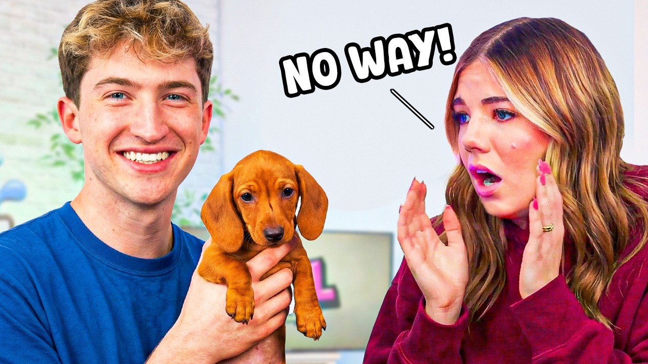 Kate Got A New Dog?!