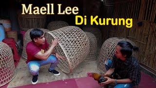 Download lagu MAELL LEE Jadi Perawat AYAM mp3