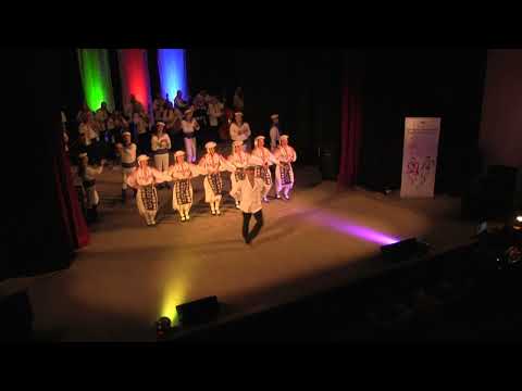 Концерт спектакъл на Ансамбъл „Дунав“