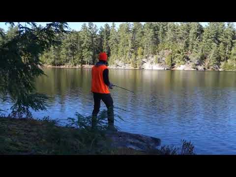 Surviving 50 Hours Under a Rock with No Food & 12