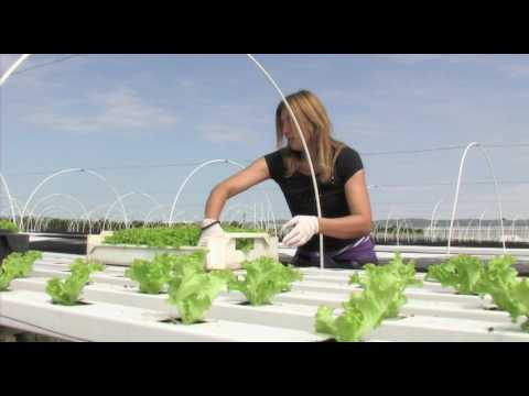 Može bolje ep. 13 06.05.2017. NAJAVA