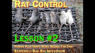 The Rat Trapper. Lesson # 2. of Rat-trapping Experiences To Learn From.