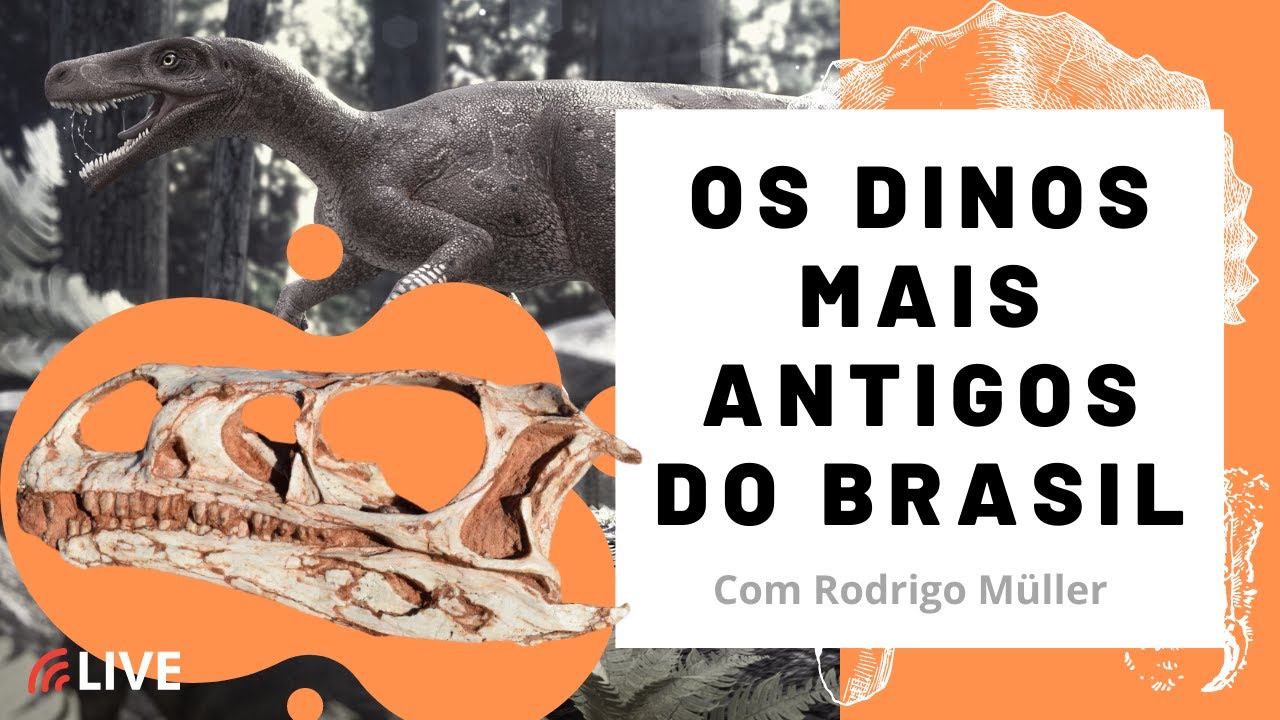 #Live - Os dinossauros mais antigos do Brasil