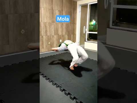 Mola 💫 #shorts #sports #capoeira #life