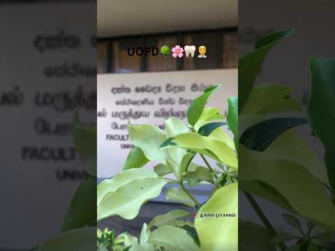 Faculty of Dental Sciences University of Peradeniya | UOPD🌳🌸🦷👨‍⚕️ 05 #university #dentalstudent