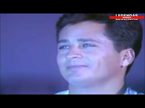 Leandro & Leonardo - Esta Noite Foi Maravilhosa (letra)1992