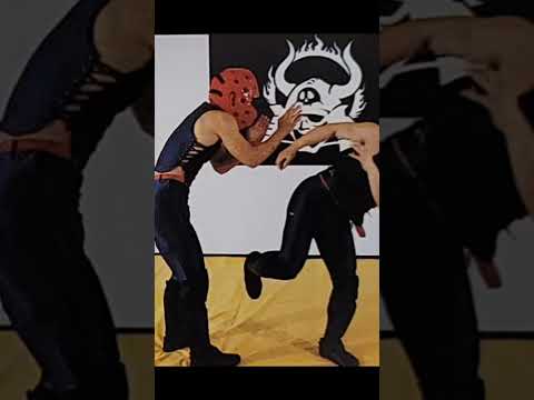 覆面野郎が選んだ好きな骨法の蹴り技3選#骨法 #堀辺正史 #蹴り #武道 #格闘技 #蹴り技