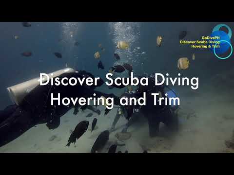 Discover Scuba Diving | Hovering and Trim Skills