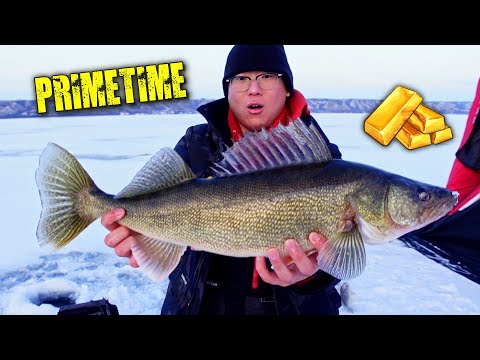 PRIMETIME IS REAL! Early Ice Walleye Fishing (2021 Saskatchewan)