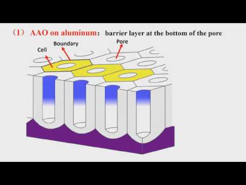 AAO 101: Introduction of AAO template AAO membranes (anodic aluminum oxide)