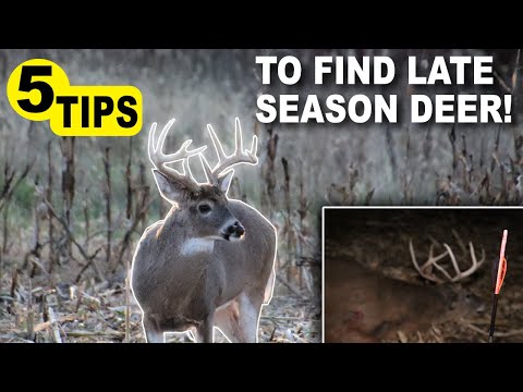 TOP 5 TIPS To Find Deer in LATE SEASON