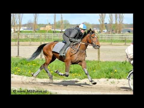 Entrainement Jan van Dooyeweerd