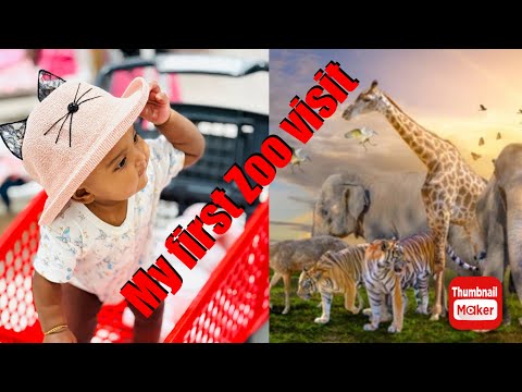 Reaction video | First Roars and Tiny Explorations: A Baby's Zoo Adventure"