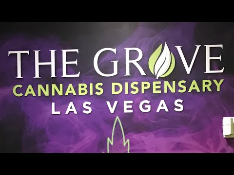 THE GROVE | LAS VEGAS DISPENSARY 2019