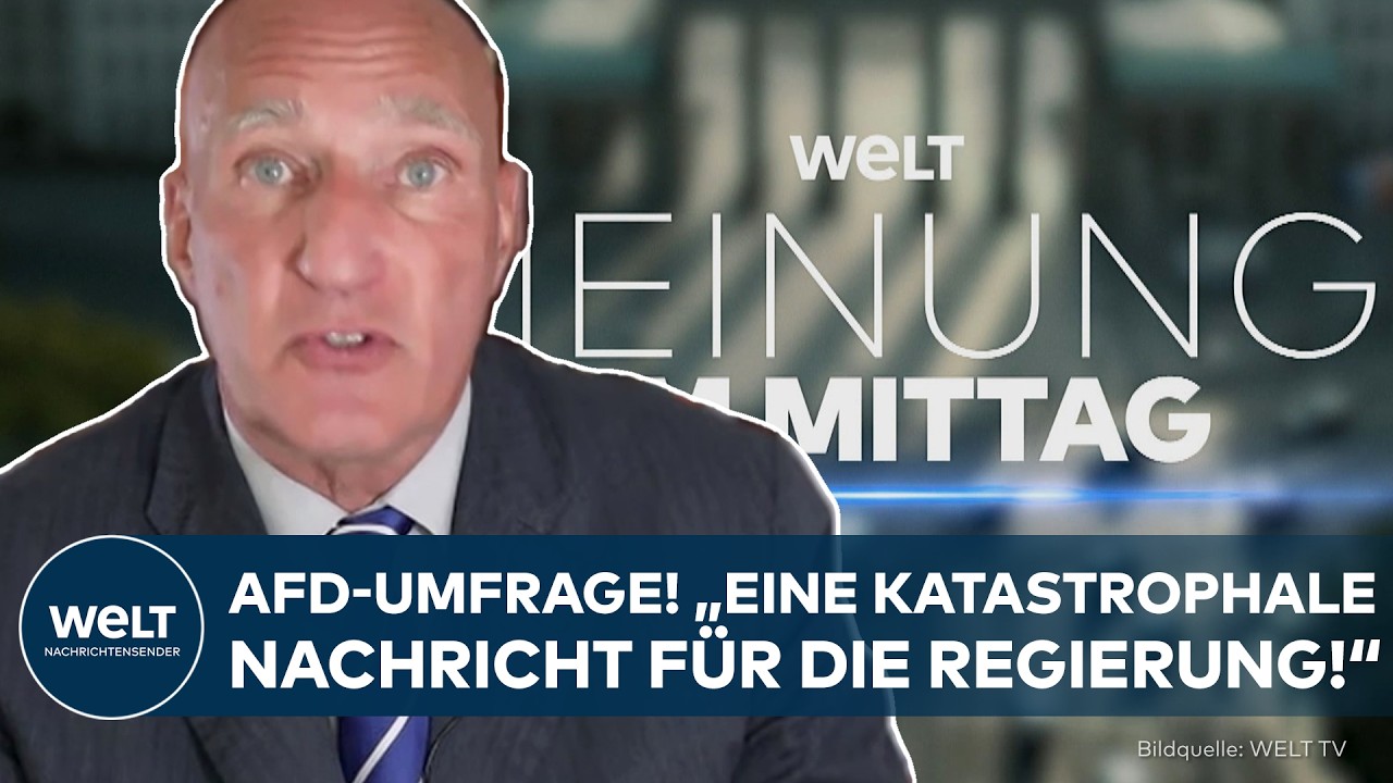 AFD-UMFRAGE: Lemmer schonungslos! „Eine katastrophale Nachricht für die Regierung!“ | Meinung