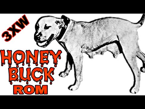 History DOGFIGHT - Honeybunch Champion ROM - Three-time winner in Pitbull Fighting #bulls  #dogfight