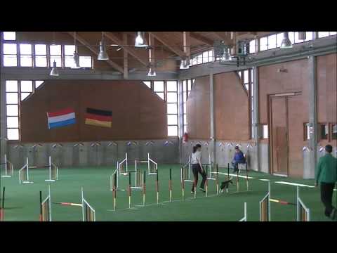 16.03.2014 WM Qualis Flocke