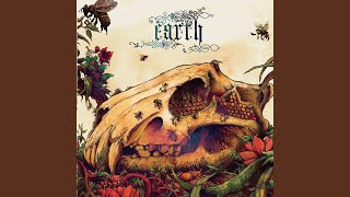 The Bees Made Honey In The Lions Skull