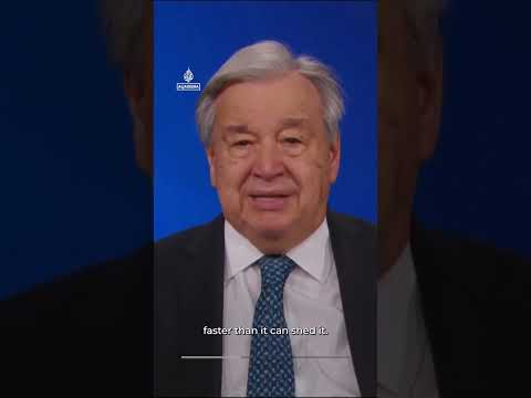 New UN climate report says the past decade was the hottest on record | AJ #shorts